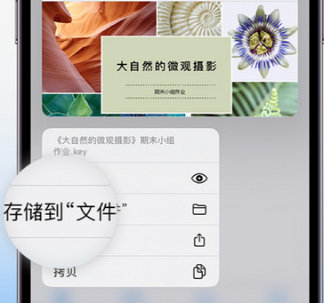 房县apple维修中心分享iPhone文件应用中存储和找到下载文件