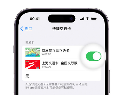 房县apple维修点分享iPhone上更换Apple Pay快捷交通卡手绘卡面 