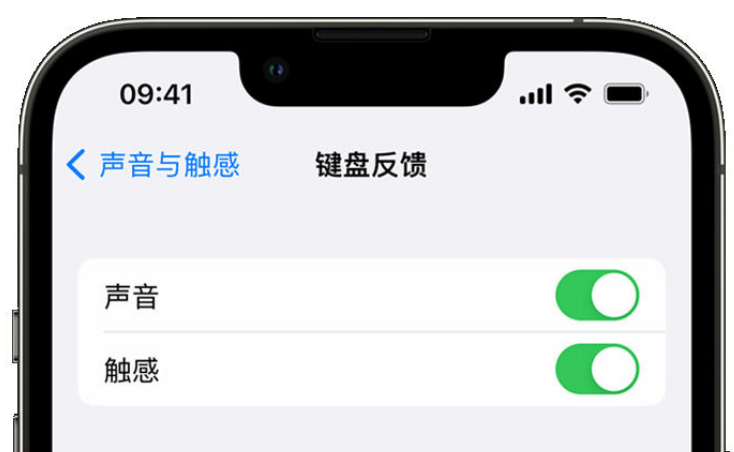 房县苹果手机维修分享iPhone 14触感键盘使用方法 