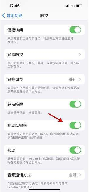 房县苹果手机维修分享iPhone手机如何设置摇一摇删除文字 