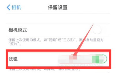 房县苹果13维修分享iPhone13拍照有绿点是怎么回事 
