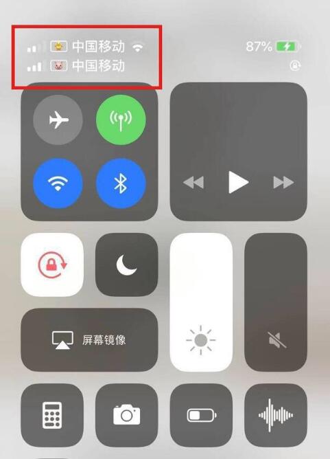 房县苹果手机维修分享为 iPhone 12 双卡设置标签 