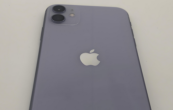 房县苹果11系统维修分享iPhone11手机系统崩溃无法开机如何解决 